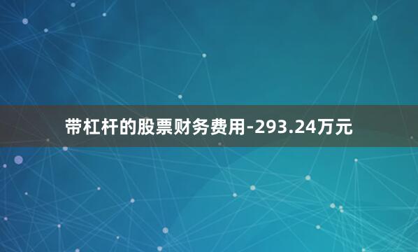 带杠杆的股票财务费用-293.24万元