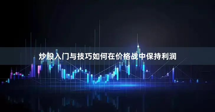 炒股入门与技巧如何在价格战中保持利润