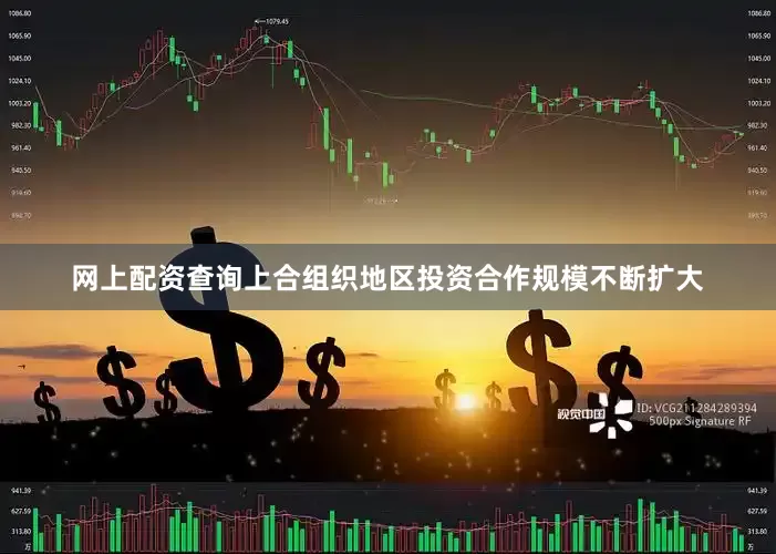 网上配资查询上合组织地区投资合作规模不断扩大