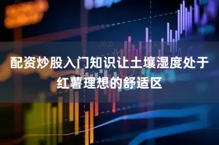 配资炒股入门知识让土壤湿度处于红薯理想的舒适区