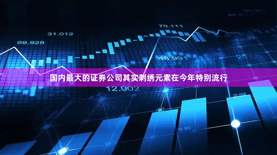 国内最大的证券公司其实刺绣元素在今年特别流行