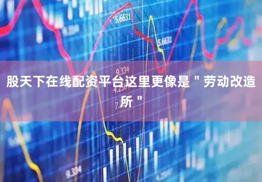 股天下在线配资平台这里更像是＂劳动改造所＂
